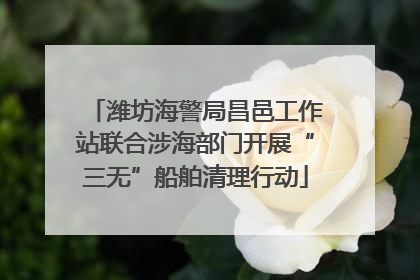 潍坊海警局昌邑工作站联合涉海部门开展“三无”船舶清理行动